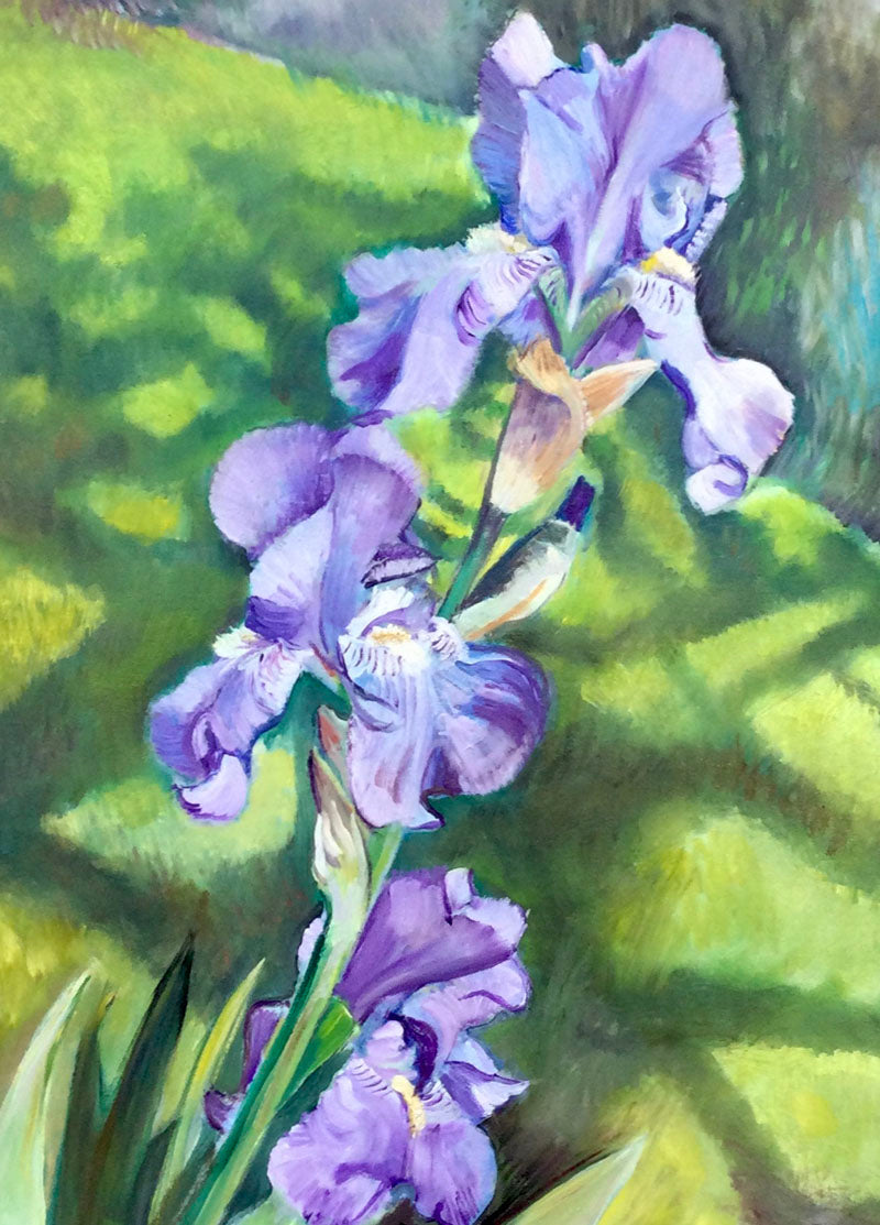 CLE016, The Purple Iris