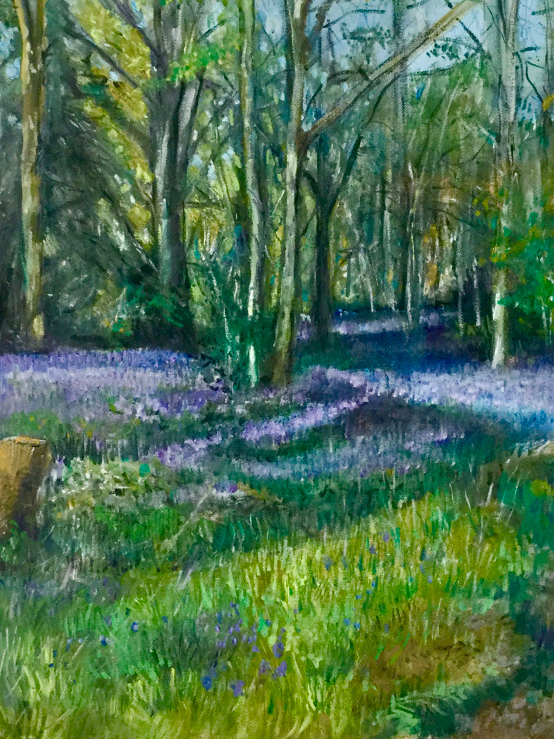 CLE014, Bluebell Wood