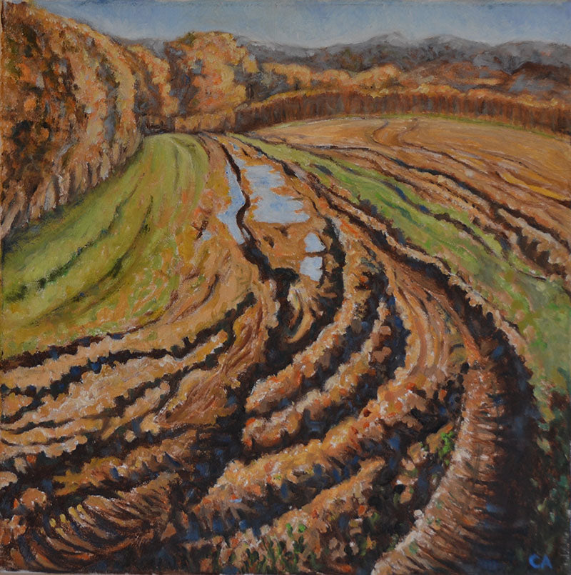 AND035, Ploughed field