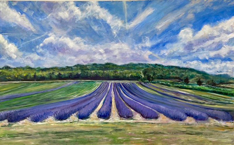 CLE030, Lavender Fields (Castle Farm)