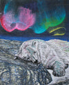 SMI132, Aurora Dreaming