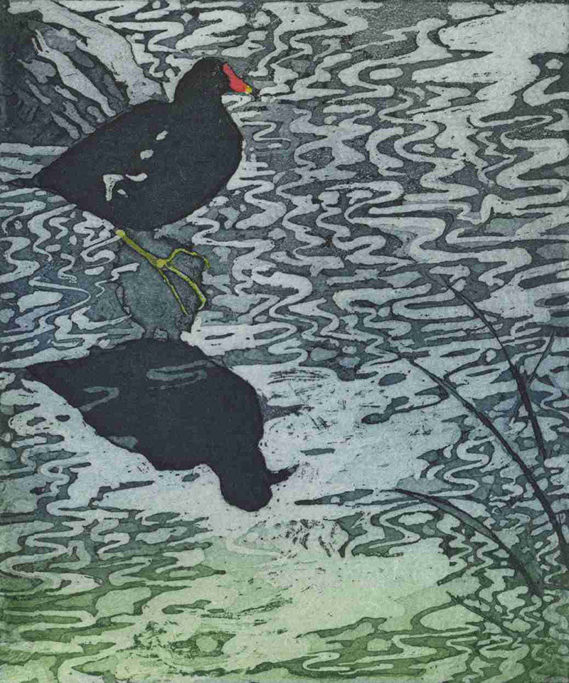 LON247, Reflective Moorhen