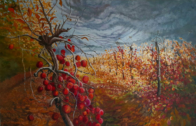 AND033, Autumn apple trees