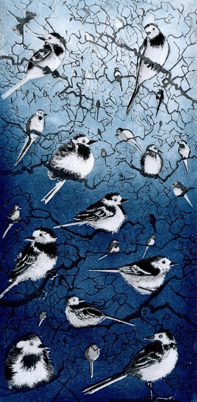 LON164, Wagtail Roost