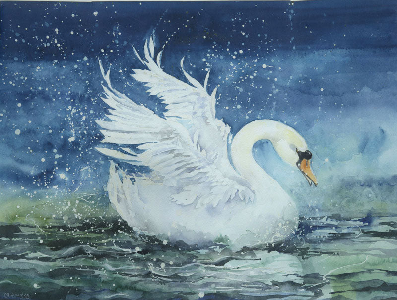 LON208, Swan Splash